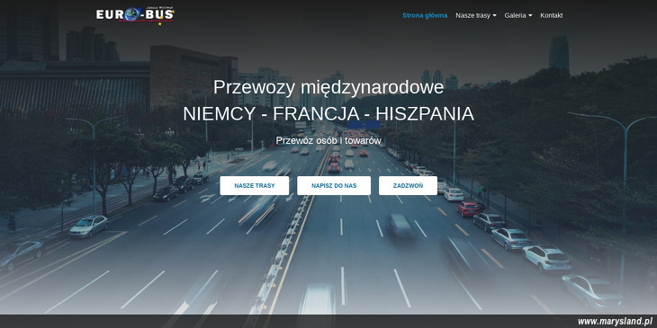 Przewozy Osobowe Janusz Wytrwał